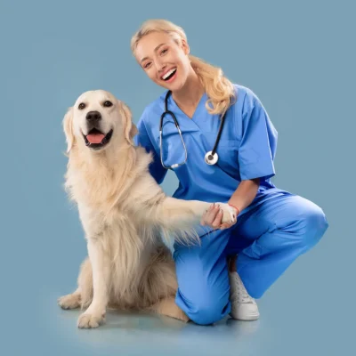 Esperto-assistente-veterinario-master