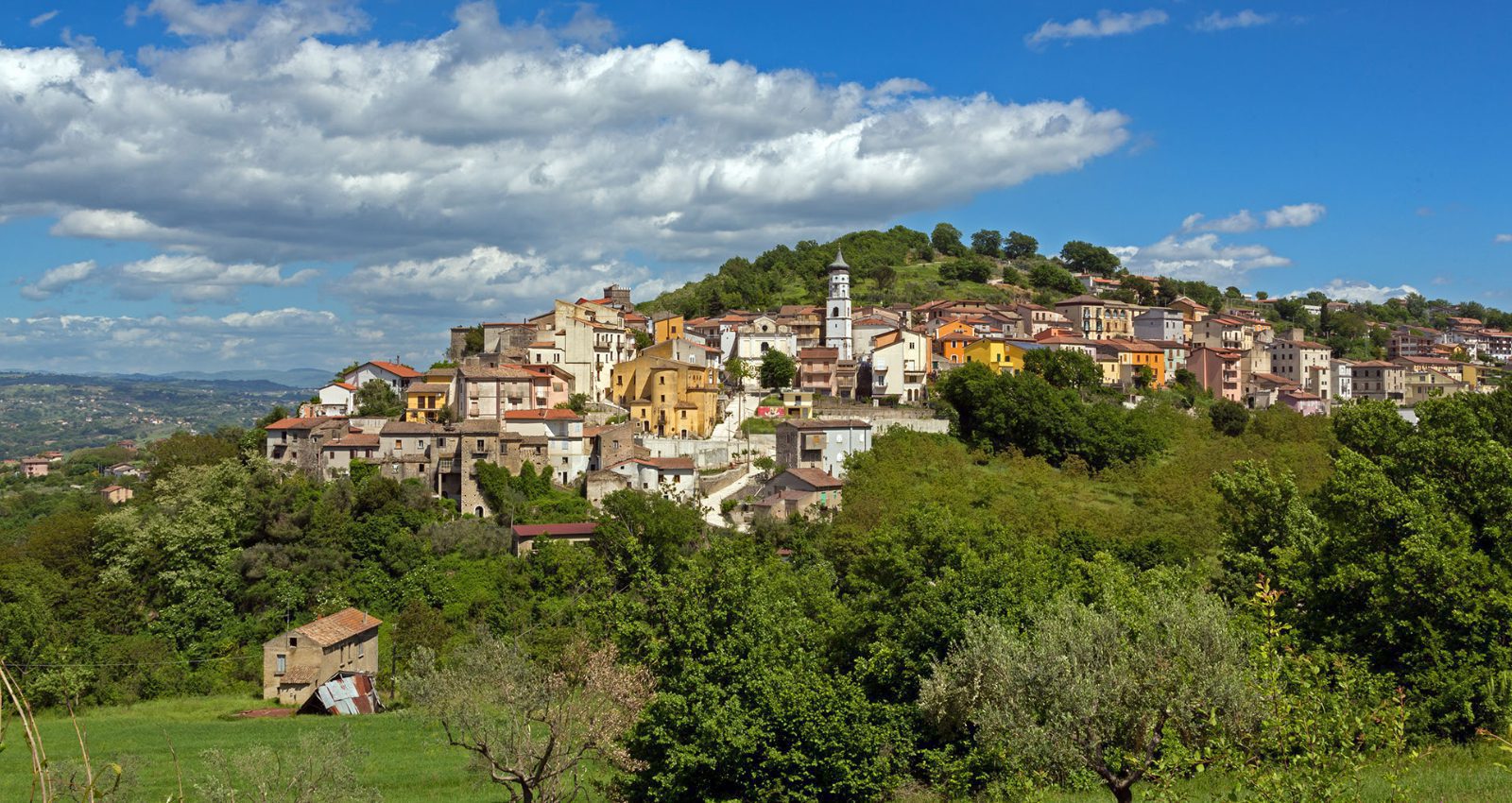 Avellino corsi