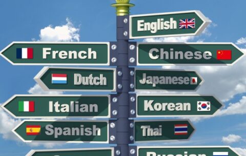 scegli Recupera Anni e Diplomati con il Diploma di Maturità Liceo Linguistico